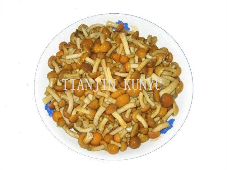 canned nameko mushroom (2)