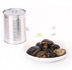 Champignons Shiitake en conserve