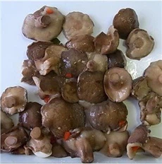 Champignon Suillus en conserve